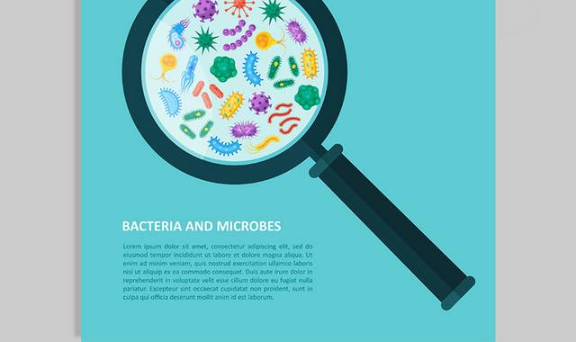 细菌医疗背景