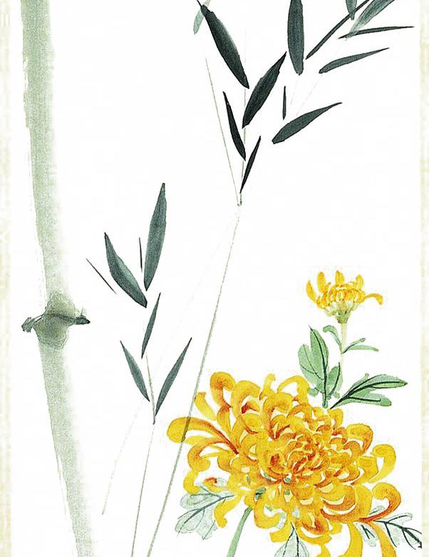 菊花