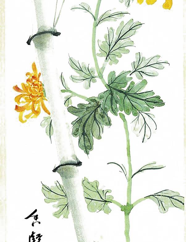 菊花