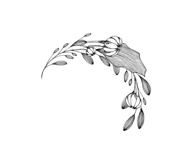 黑白花朵插画8