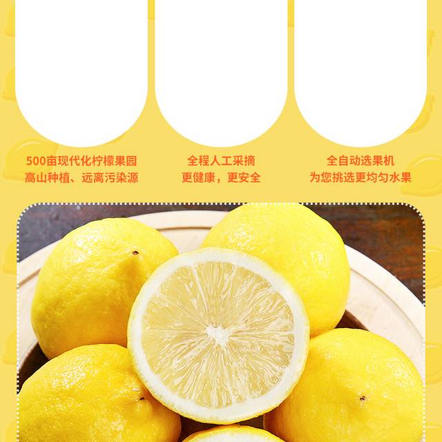 简约小清新时尚水果柠檬详情页