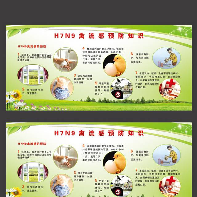 禽流感预防保健知识宣传栏
