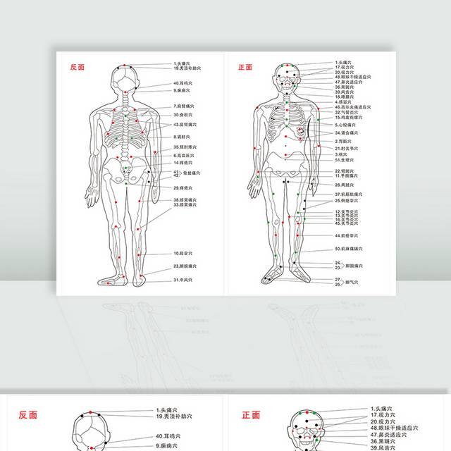 矢量全身经络穴位图素材