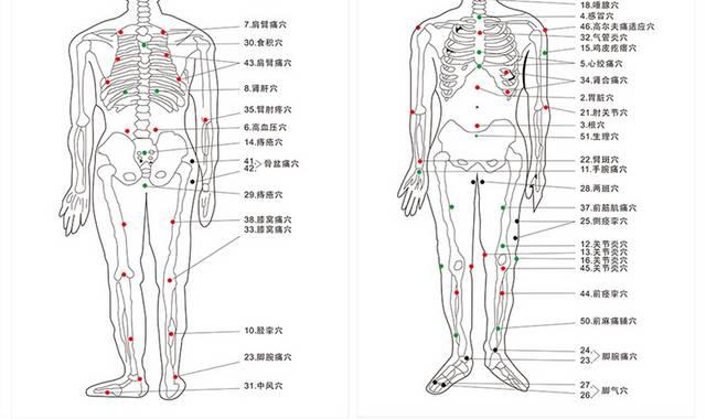 矢量全身经络穴位图素材