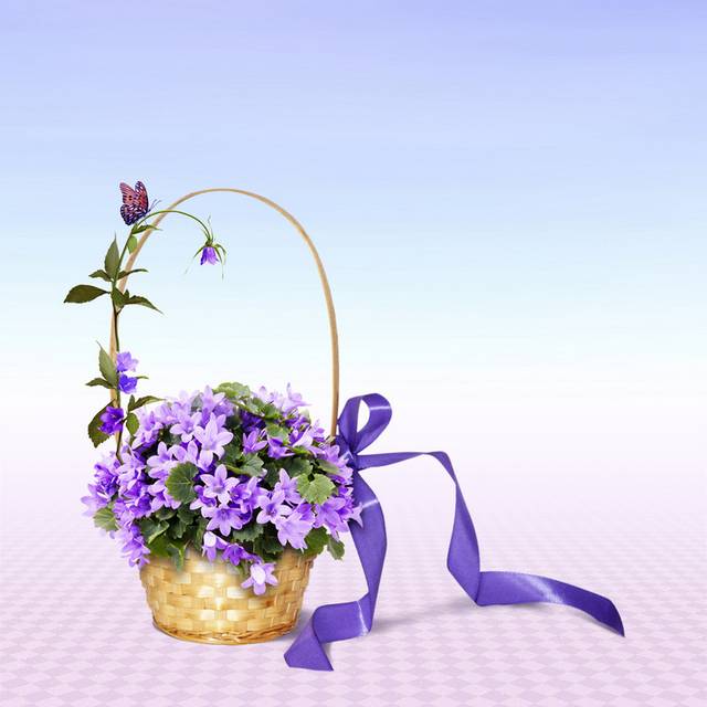 婚礼花