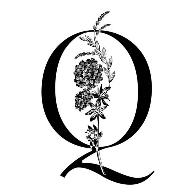 字母Q插画3