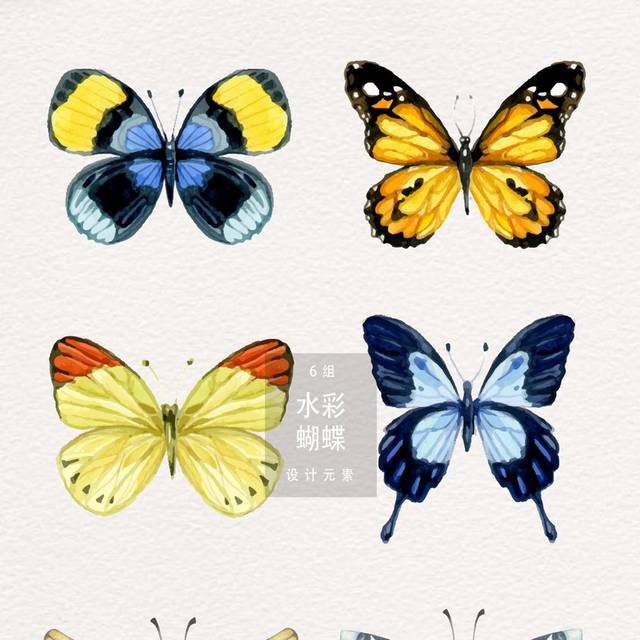 蝴蝶