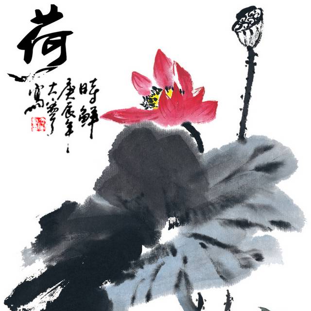 荷花