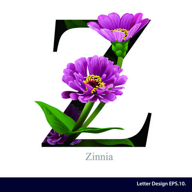 字母花