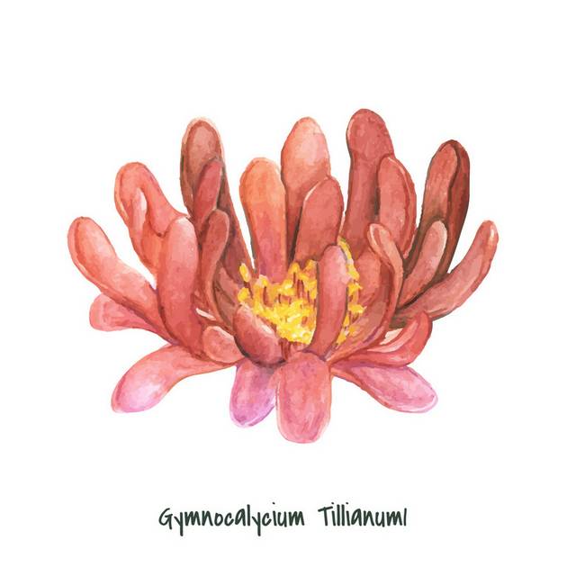 花