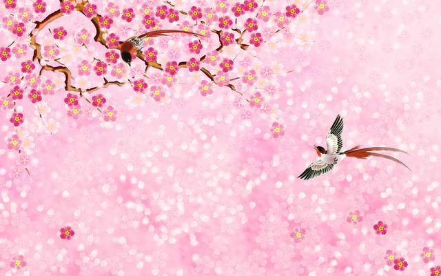 中国风梅花背景