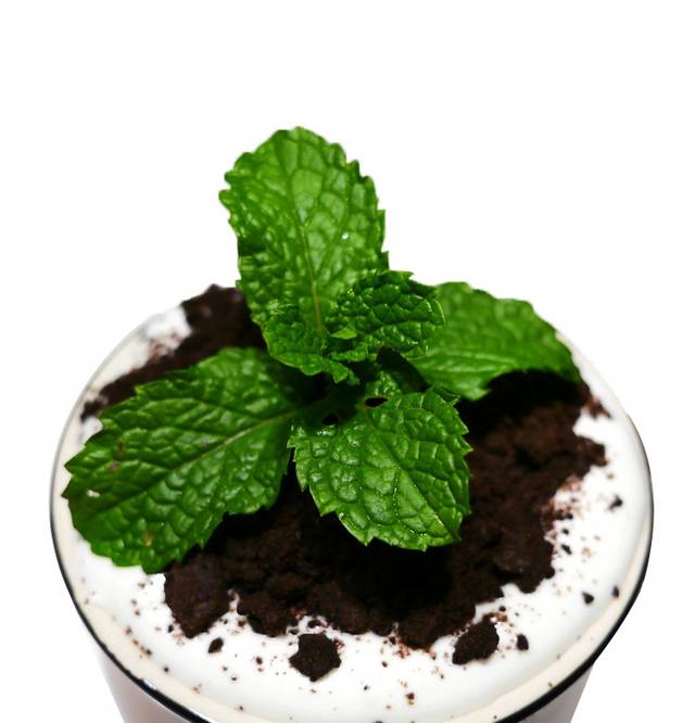 奶茶