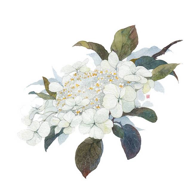 鲜花花卉花朵