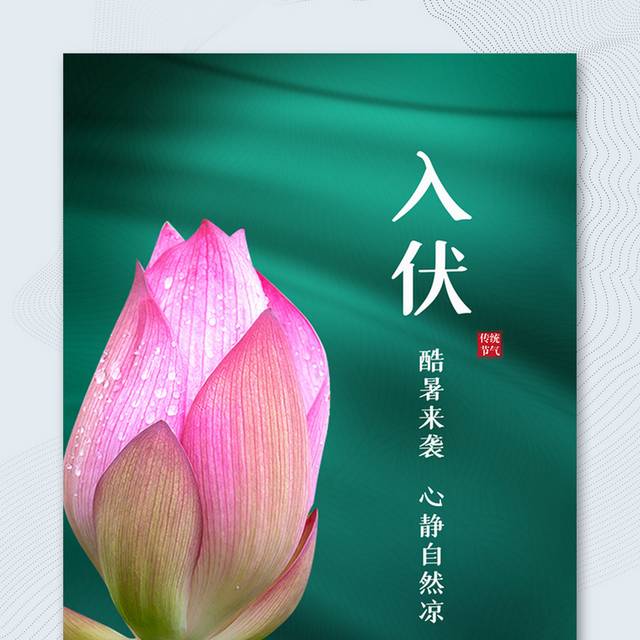 入伏图片