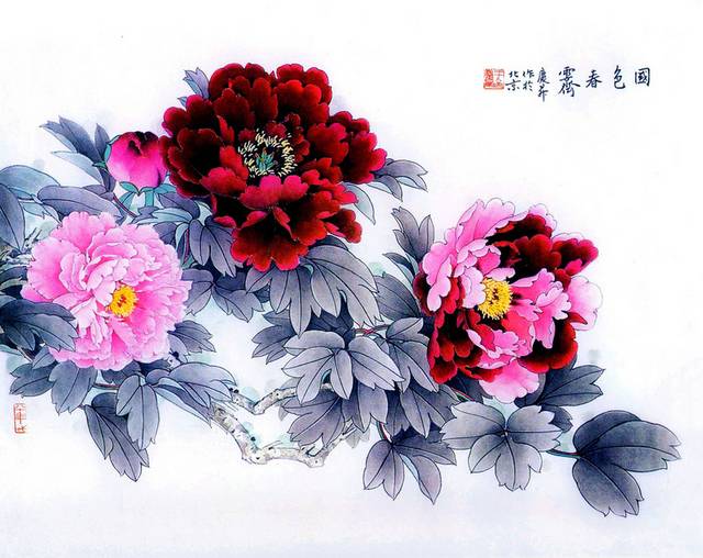 牡丹