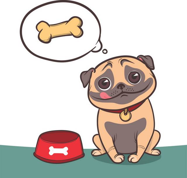 狗素材