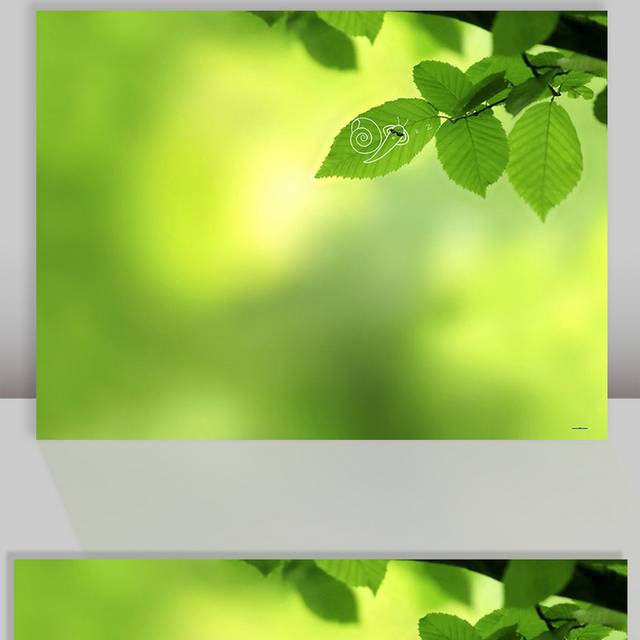 春天绿色背景图片