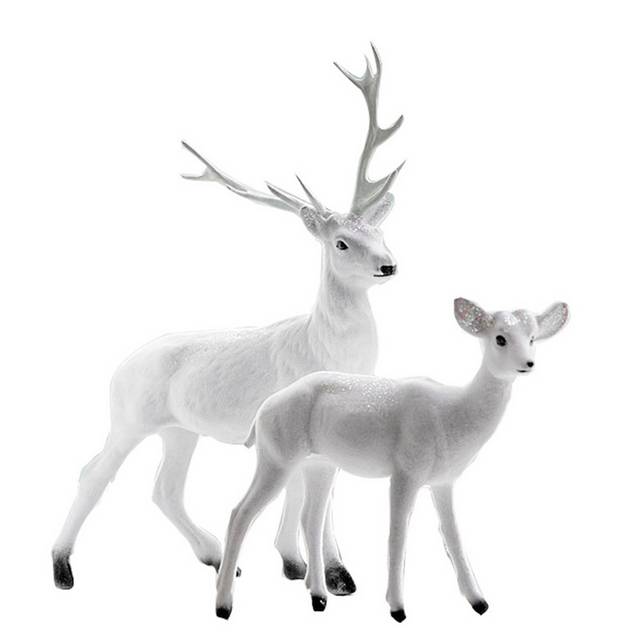 两只白色的鹿