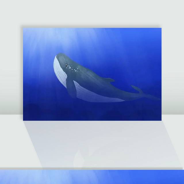 蓝鲸图片