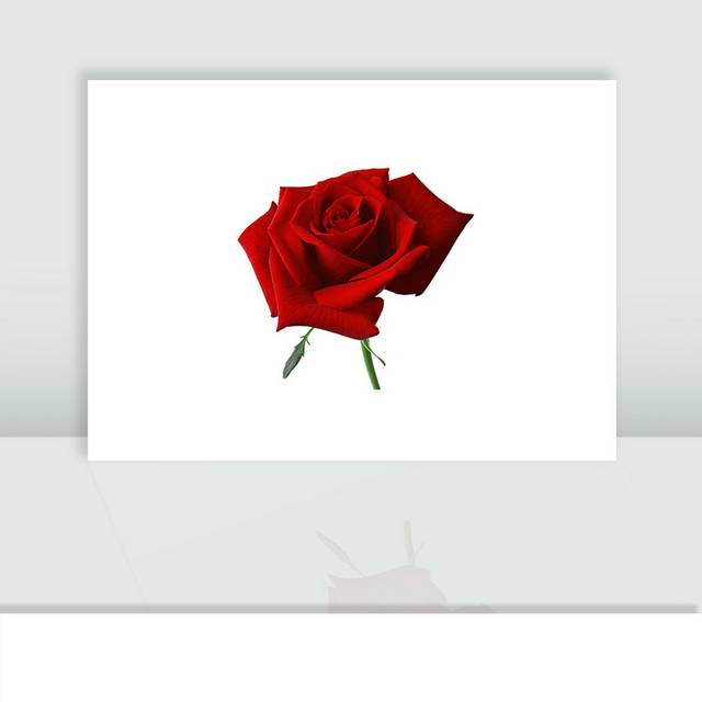 红色情人节玫瑰花设计素材