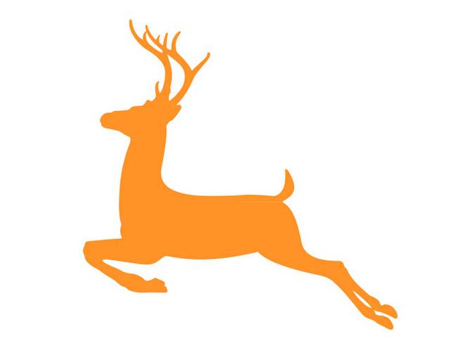 橙色飞奔的鹿