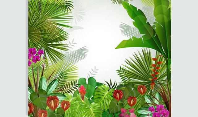 热带植物背景