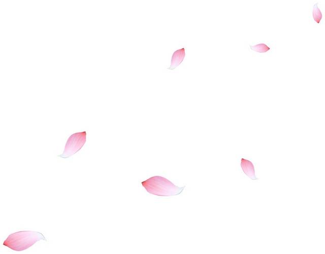 粉色花瓣9