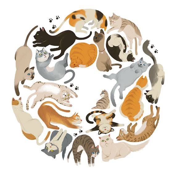 猫素材