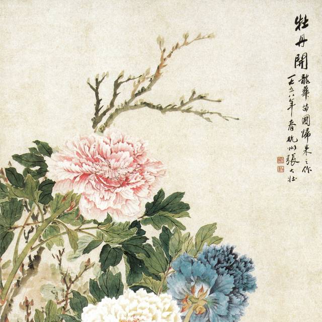 牡丹