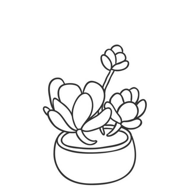 盆栽小植物插画9