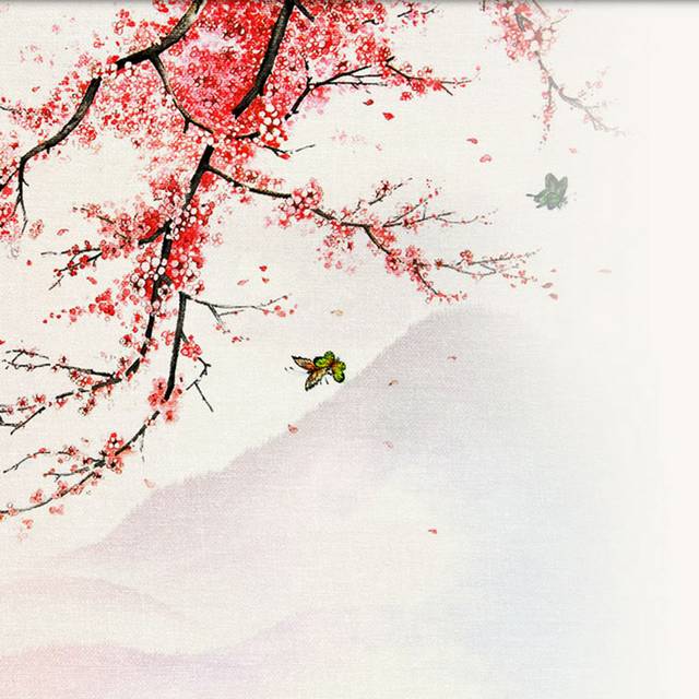 梅花图片