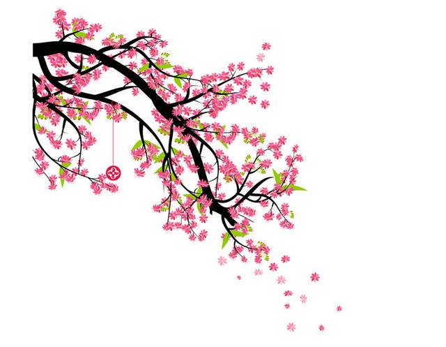 梅花