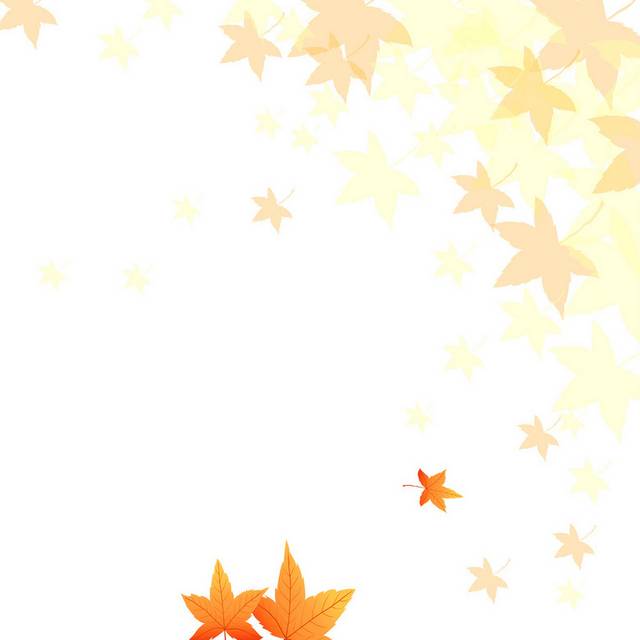枫叶