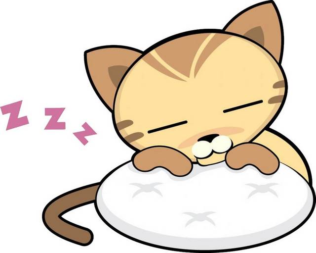 猫素材