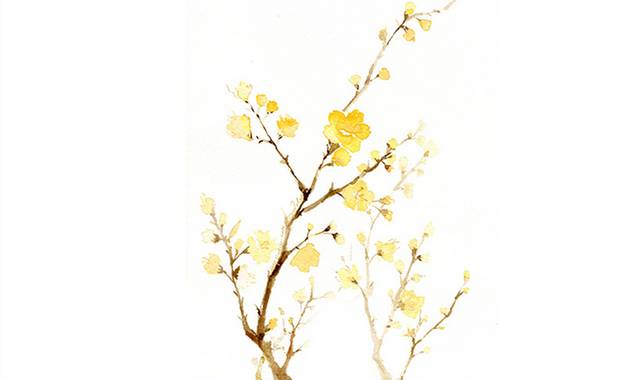 黄色鲜花花枝图片