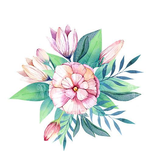 鲜花花卉花朵