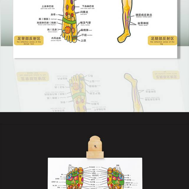 足部足底穴位图