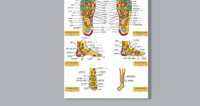 足部足底穴位图