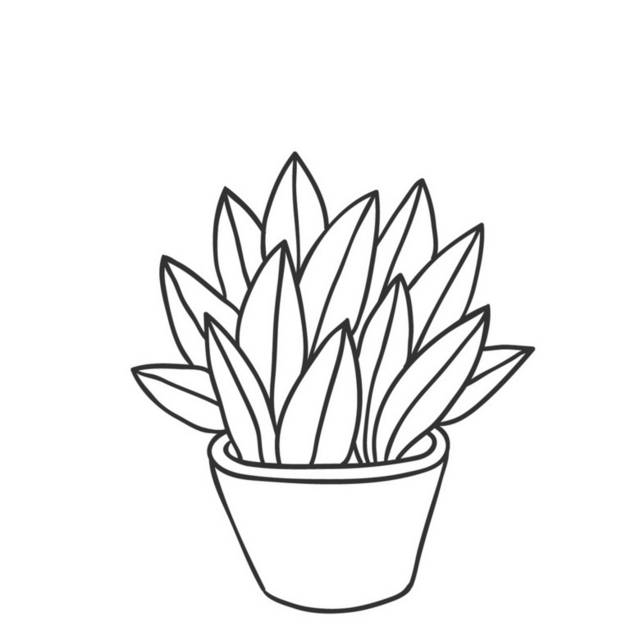 盆栽小植物插画8
