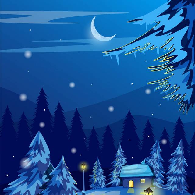 夜晚中的雪景