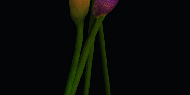 花卉