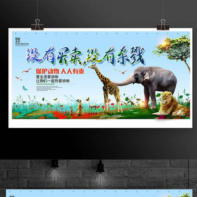 保护野生动物公益海报展板