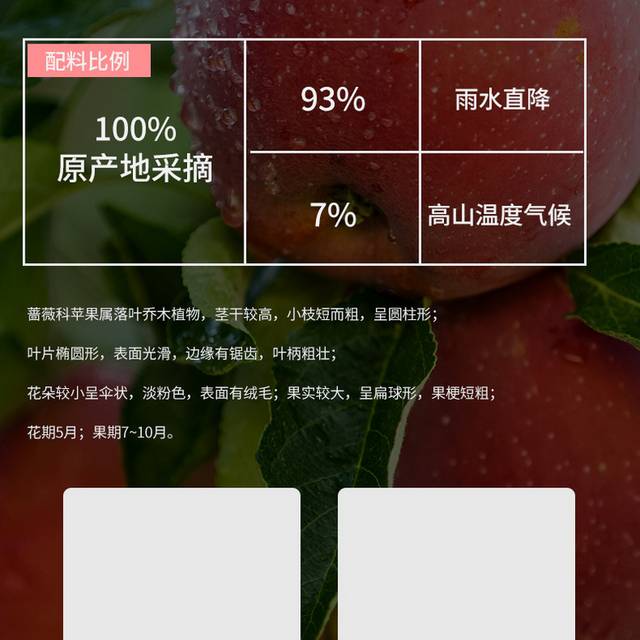 新鲜苹果水果生鲜当季水果详情