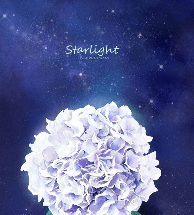 紫色花朵