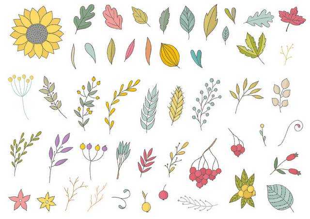 彩色花朵植物插画2