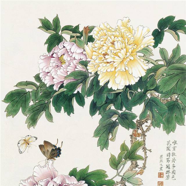牡丹