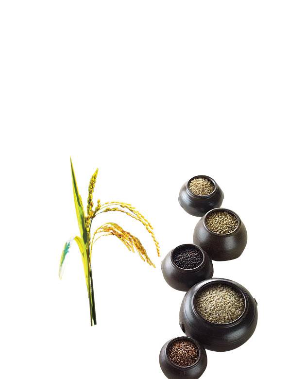 五谷杂粮