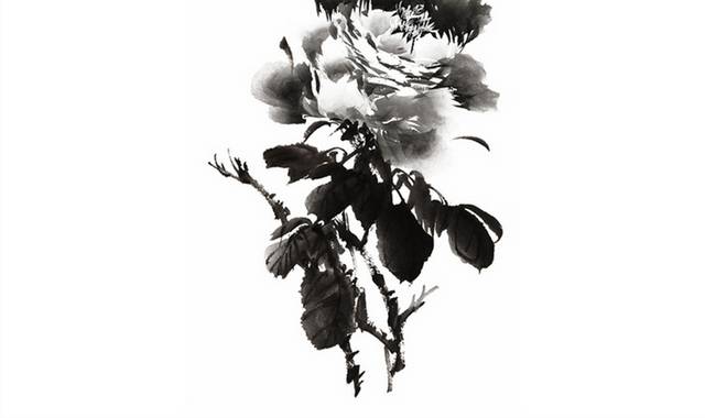 中国画水墨植物图片素材