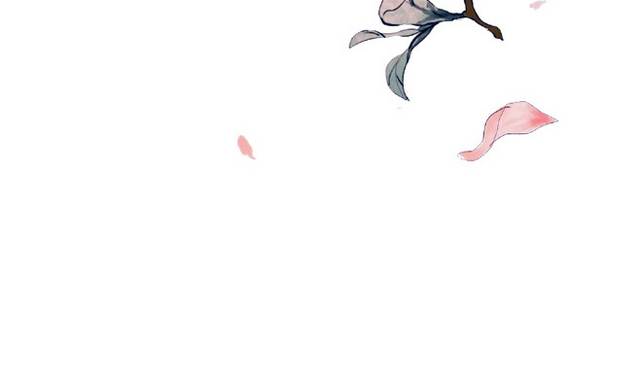 鲜花花卉花朵