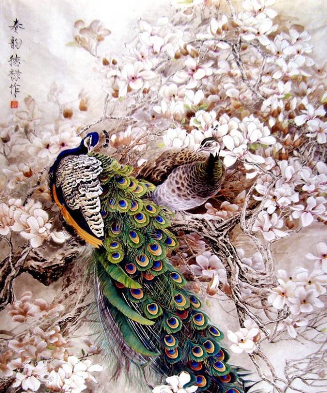 孔雀